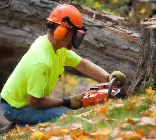 tree services Gambrills